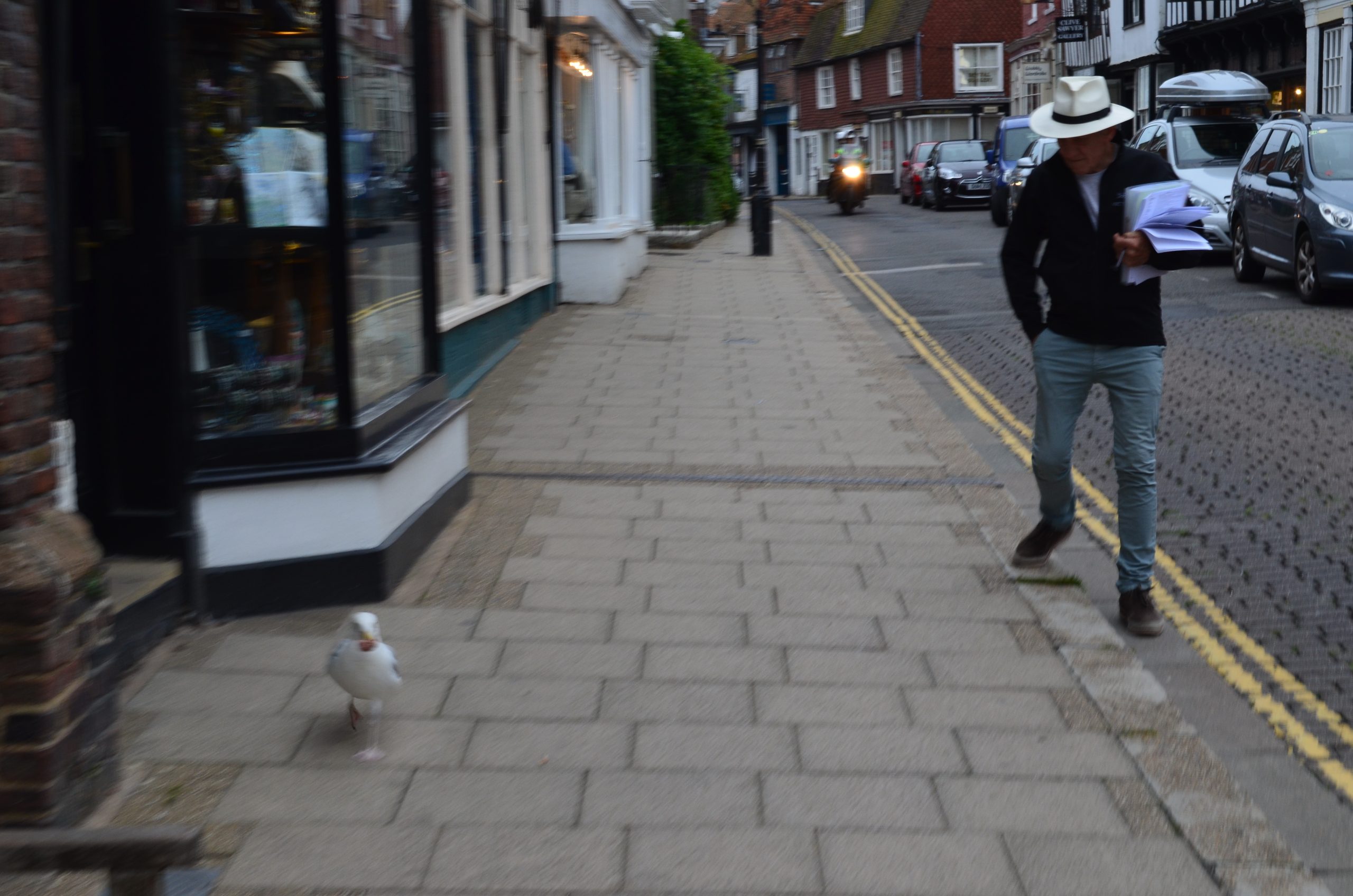 2014: Rye, East Sussex. The seagull started it.