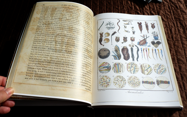 Ebenezer Sibly "A Key to Physic and the Occult"—Full Colour Limited Edition Hardcover - Image 6