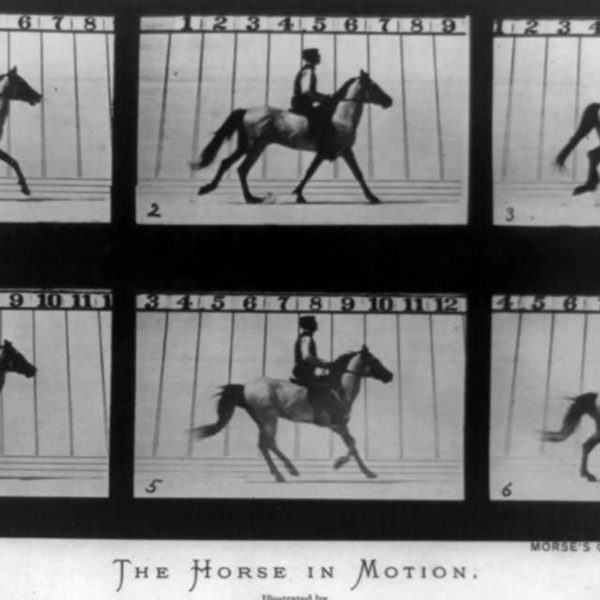 Eadweard Muybridge Freezing Time-Hardcover—New book signed by author - Image 4